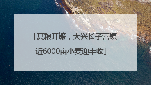 夏粮开镰，大兴长子营镇近6000亩小麦迎丰收