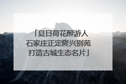 夏日荷花醉游人 石家庄正定隆兴别苑打造古城生态名片