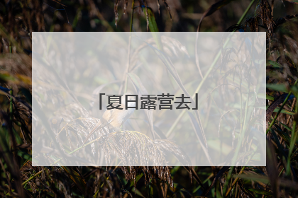 夏日露营去