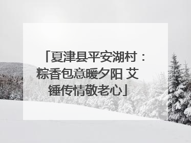 夏津县平安湖村：粽香包意暖夕阳 艾锤传情敬老心