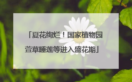 夏花绚烂！国家植物园萱草睡莲等进入盛花期