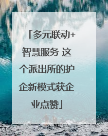 多元联动+智慧服务 这个派出所的护企新模式获企业点赞