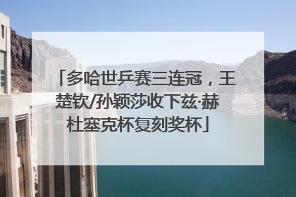 多哈世乒赛三连冠，王楚钦/孙颖莎收下兹·赫杜塞克杯复刻奖杯