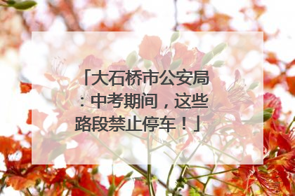大石桥市公安局：中考期间，这些路段禁止停车！