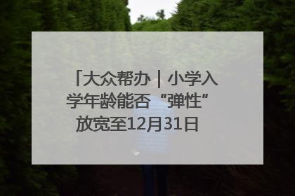 大众帮办｜小学入学年龄能否“弹性”放宽至12月31日？有地方已在探索