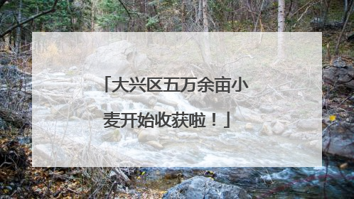 大兴区五万余亩小麦开始收获啦！
