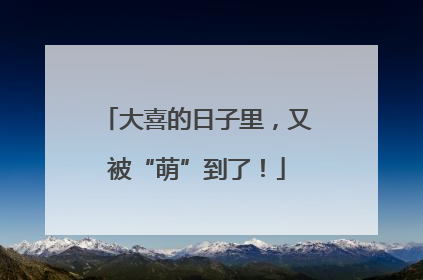 大喜的日子里，又被“萌”到了！