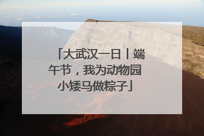 大武汉一日丨端午节，我为动物园小矮马做粽子