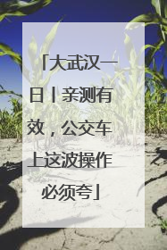 大武汉一日丨亲测有效，公交车上这波操作必须夸