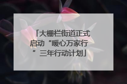 大栅栏街道正式启动“暖心万家行”三年行动计划