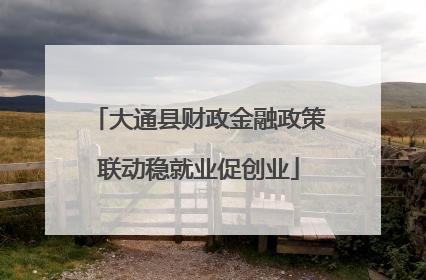 大通县财政金融政策联动稳就业促创业