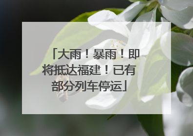 大雨！暴雨！即将抵达福建！已有部分列车停运
