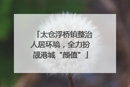 太仓浮桥镇整治人居环境，全力扮靓港城“颜值”
