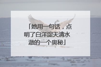 她用一句话，点明了白洋淀天清水澈的一个奥秘