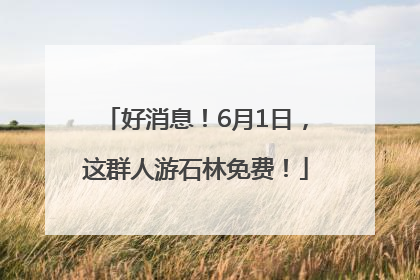 好消息！6月1日，这群人游石林免费！