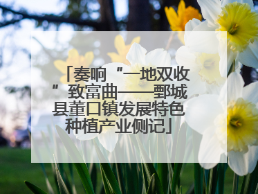 奏响“一地双收”致富曲——鄄城县董口镇发展特色种植产业侧记