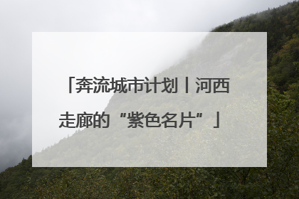 奔流城市计划丨河西走廊的“紫色名片”