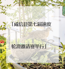 威信县第七届速度轮滑邀请赛举行
