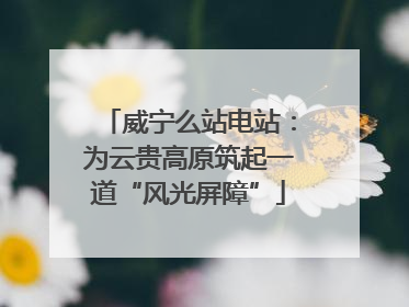 威宁么站电站：为云贵高原筑起一道“风光屏障”