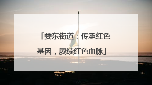娄东街道：传承红色基因，赓续红色血脉