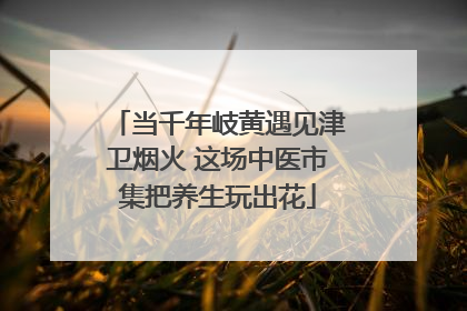 当千年岐黄遇见津卫烟火 这场中医市集把养生玩出花