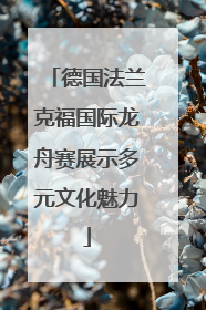 德国法兰克福国际龙舟赛展示多元文化魅力
