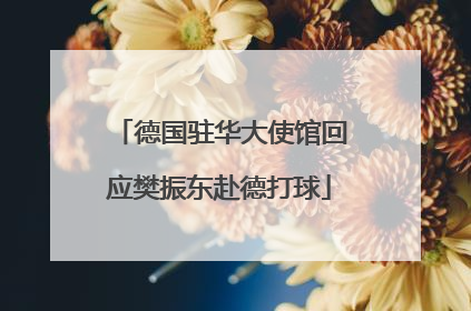 德国驻华大使馆回应樊振东赴德打球