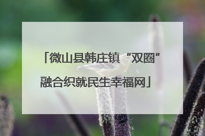 微山县韩庄镇“双圈”融合织就民生幸福网