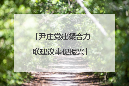 尹庄党建凝合力 联建议事促振兴