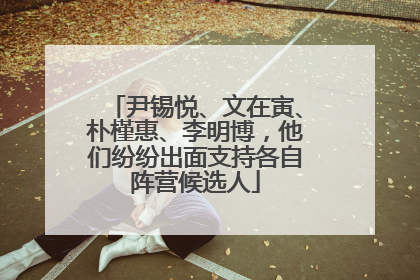 尹锡悦、文在寅、朴槿惠、李明博，他们纷纷出面支持各自阵营候选人