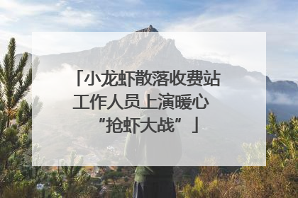 小龙虾散落收费站 工作人员上演暖心“抢虾大战”