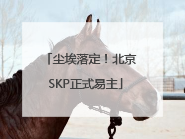 尘埃落定！北京SKP正式易主