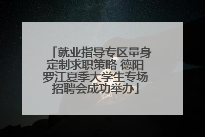 就业指导专区量身定制求职策略 德阳罗江夏季大学生专场招聘会成功举办