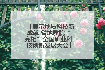 展示地质科技新成就 省地质院“亮相”全国矿业科技创新发展大会