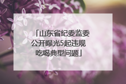 山东省纪委监委公开曝光5起违规吃喝典型问题