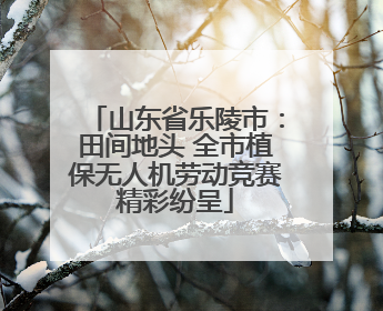 山东省乐陵市：田间地头 全市植保无人机劳动竞赛精彩纷呈