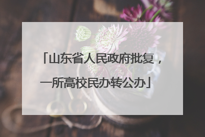 山东省人民政府批复，一所高校民办转公办
