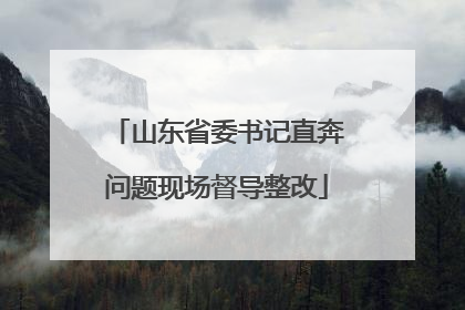 山东省委书记直奔问题现场督导整改