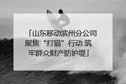 山东移动滨州分公司聚焦“打猫”行动 筑牢群众财产防护堤