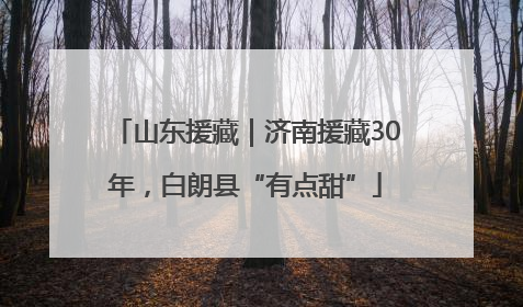山东援藏｜济南援藏30年，白朗县“有点甜”