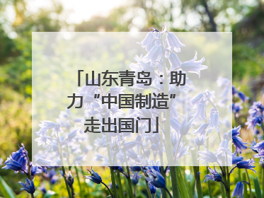 山东青岛：助力“中国制造”走出国门