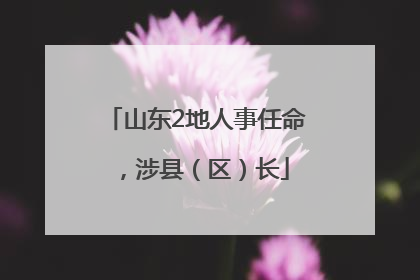 山东2地人事任命，涉县（区）长