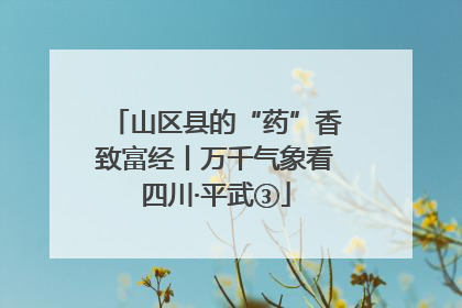 山区县的“药”香致富经丨万千气象看四川·平武③