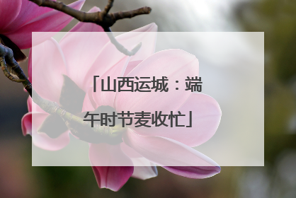 山西运城：端午时节麦收忙