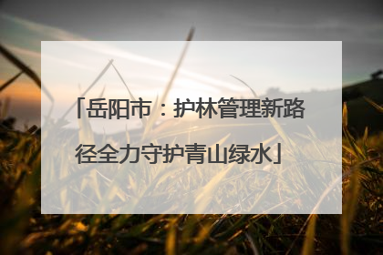 岳阳市：护林管理新路径全力守护青山绿水
