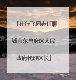 崔行飞同志任聊城市东昌府区人民政府代理区长