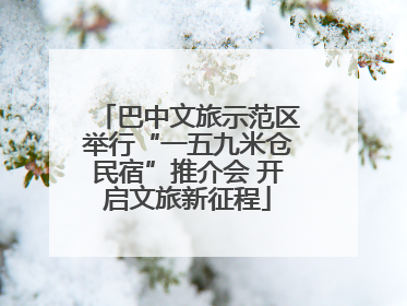 巴中文旅示范区举行“一五九米仓民宿”推介会 开启文旅新征程