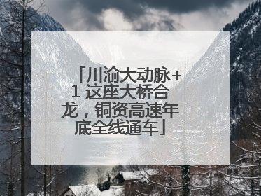 川渝大动脉+1 这座大桥合龙，铜资高速年底全线通车