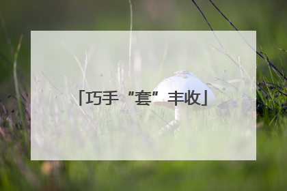 巧手“套”丰收
