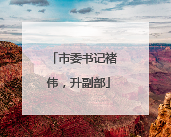 市委书记褚伟，升副部